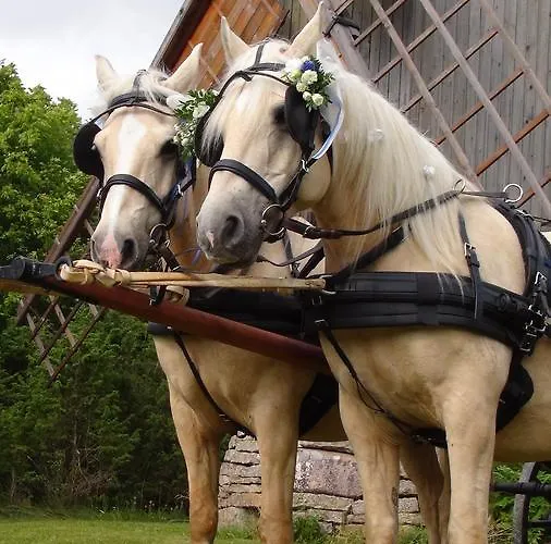 Vanatoa Farmhotel * Koguva